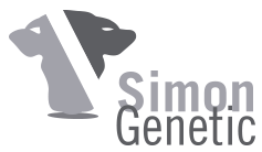 Simon Genetic